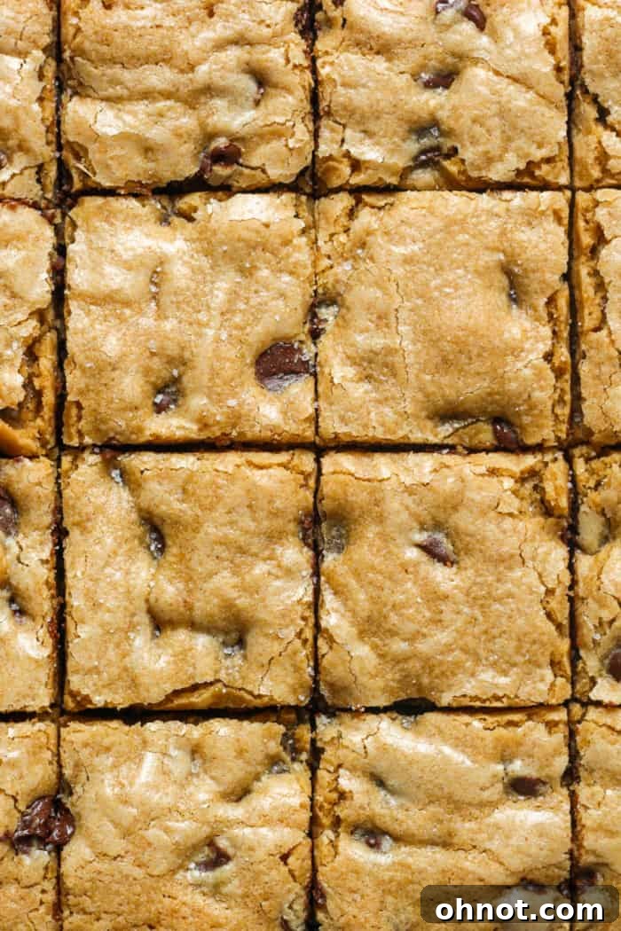 Delicious gluten free blondies studded with chocolate chips, ready to be enjoyed.