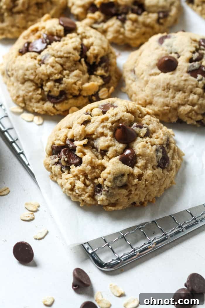 Gluten free oatmeal chocolate chip cookies, golden brown with melted chocolate.