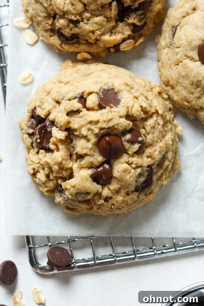 A close-up of a single gluten-free oatmeal chocolate chip cookie, with visible oats and melted chocolate.