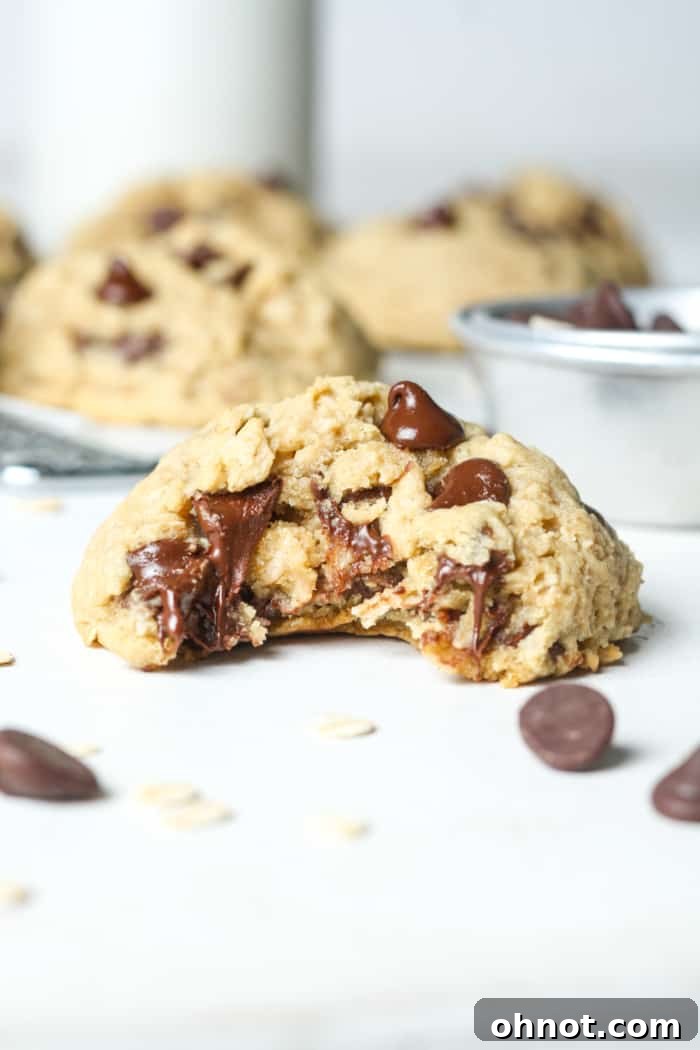 A stack of golden gluten-free oatmeal chocolate chip cookies.