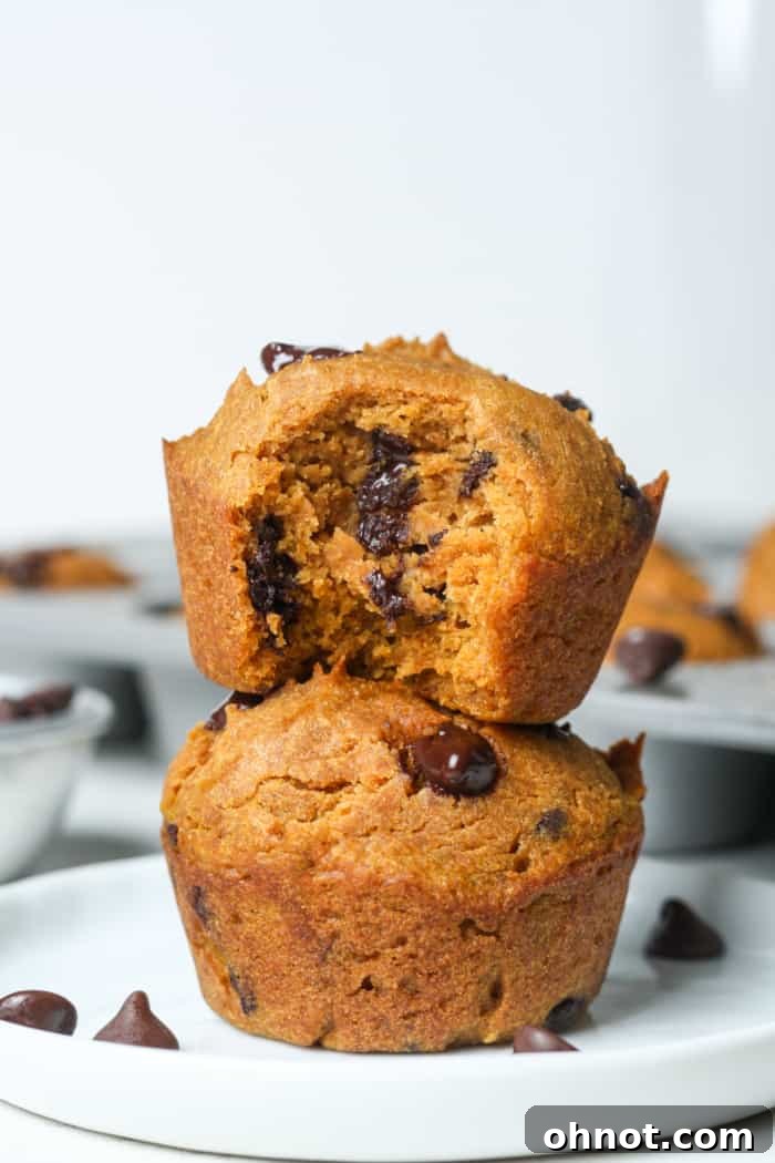 A close-up of freshly baked gluten-free pumpkin muffins, showcasing their golden tops and tender interior.