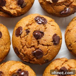 Gluten free pumpkin muffins with chocolate chips.