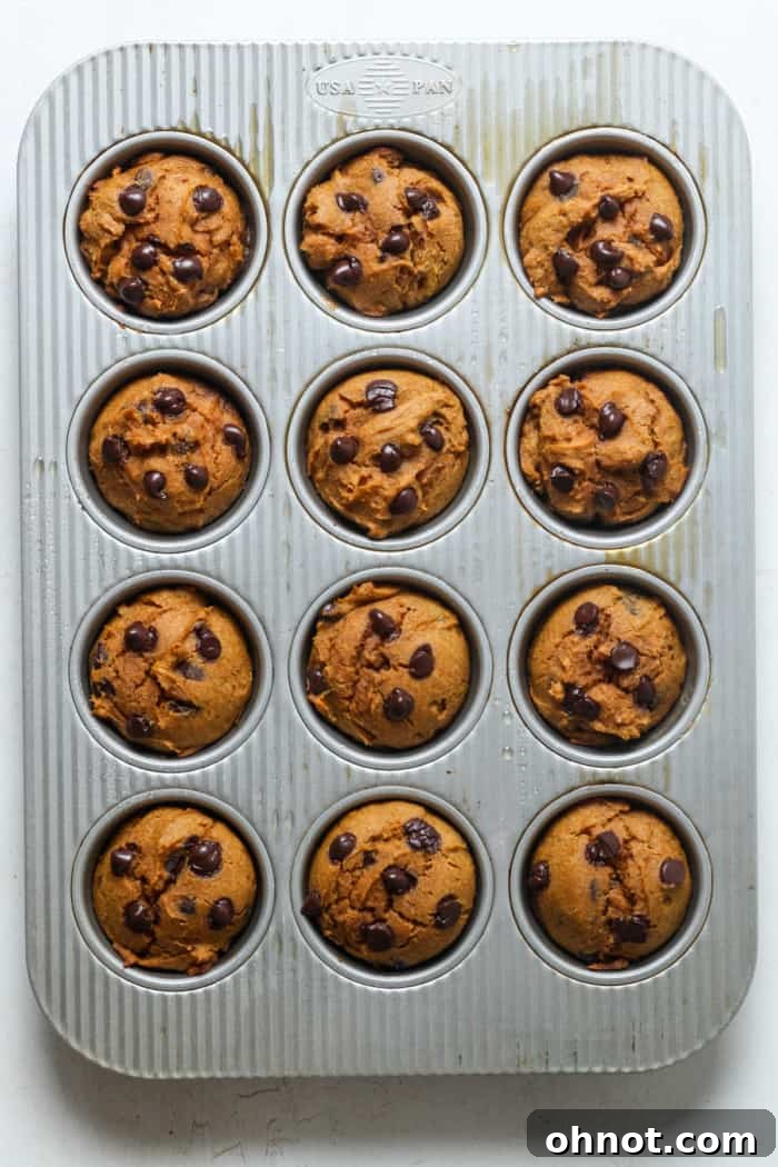 Freshly baked gluten-free pumpkin muffins cooling in the pan, golden brown and perfectly risen.