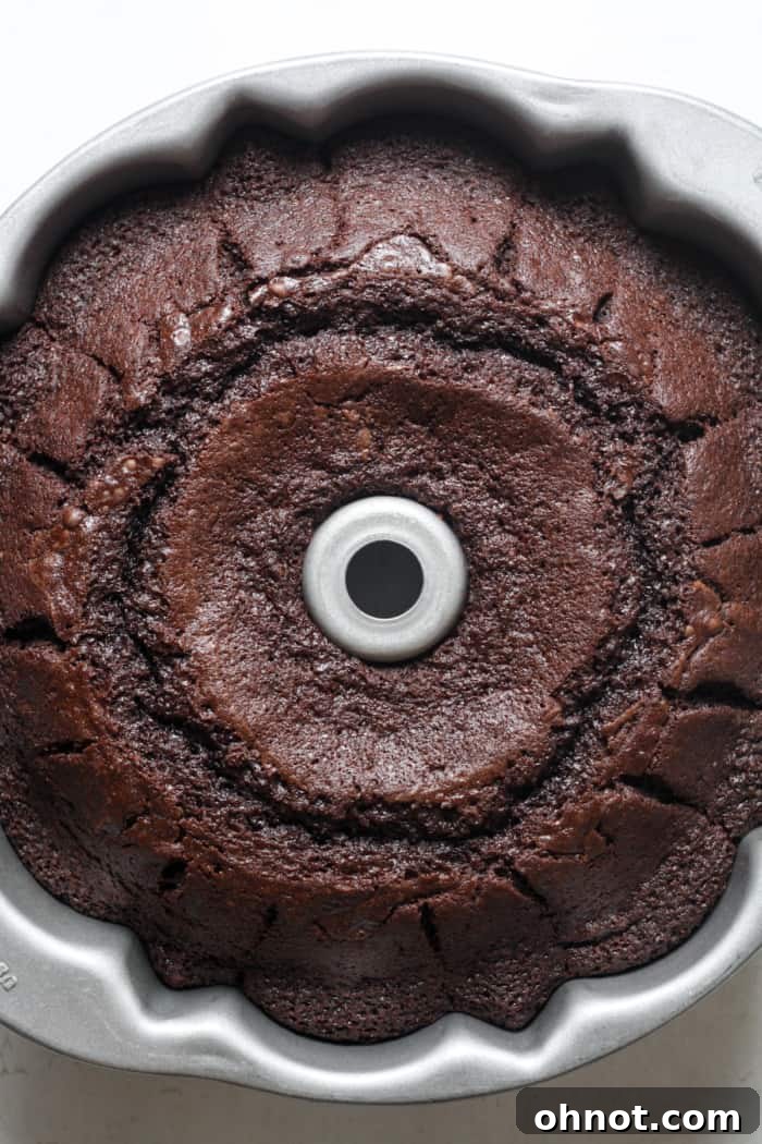 A golden-brown chocolate Bundt cake, freshly baked and still in its Bundt pan.