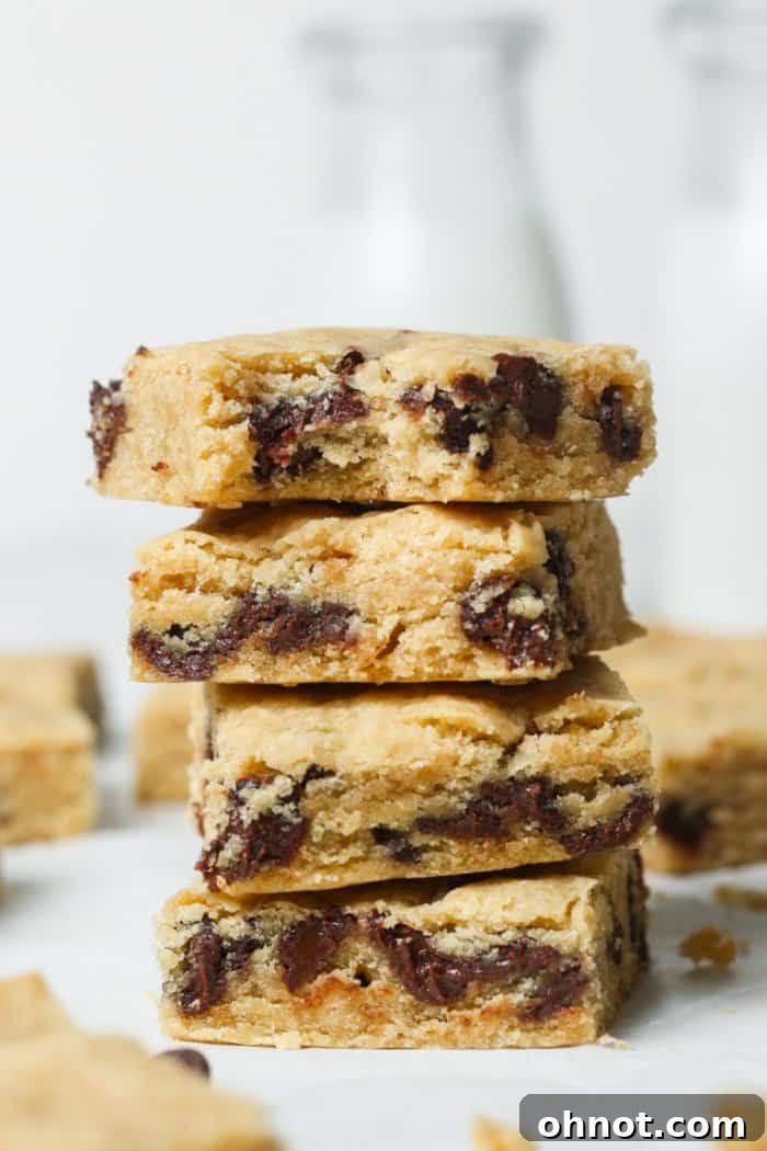 Blondie bars topped with extra chocolate chips.