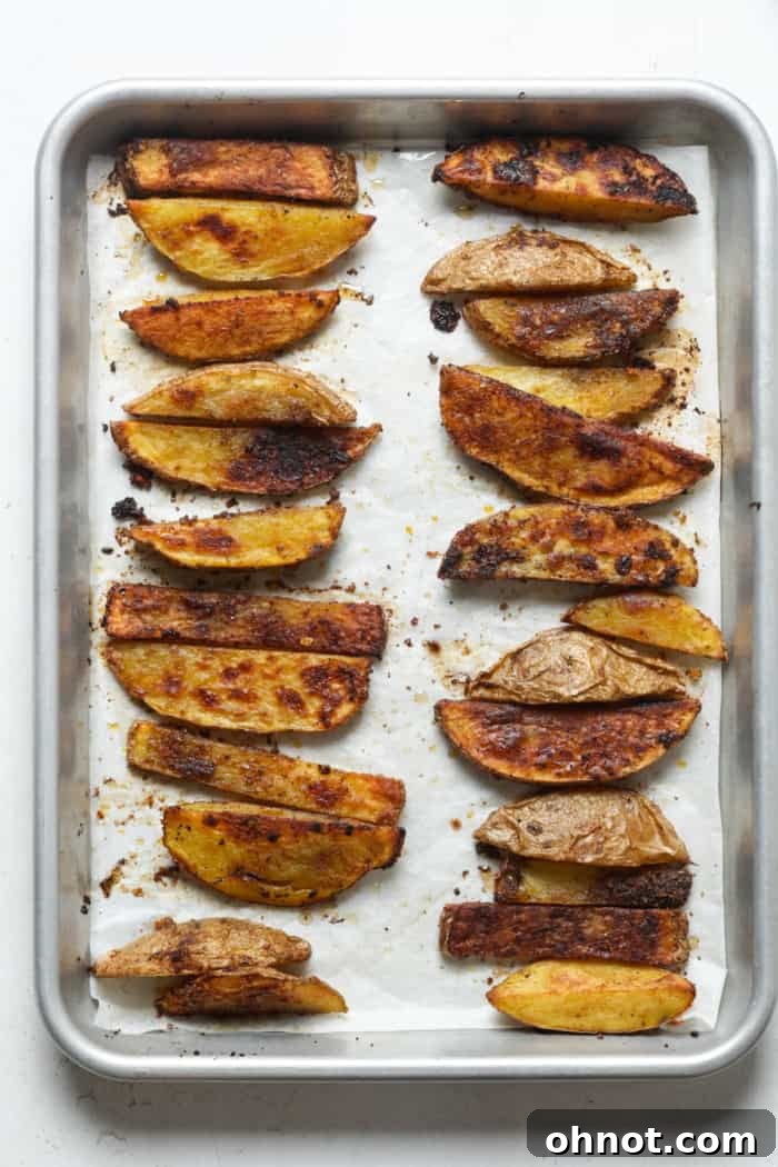 Crispy Vegan potato fries on pan.