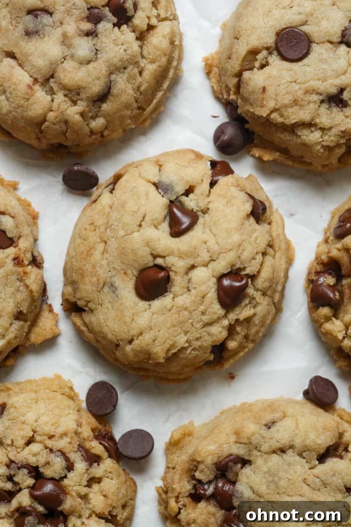 Stack of vegan chocolate chip cookies without eggs or butter.