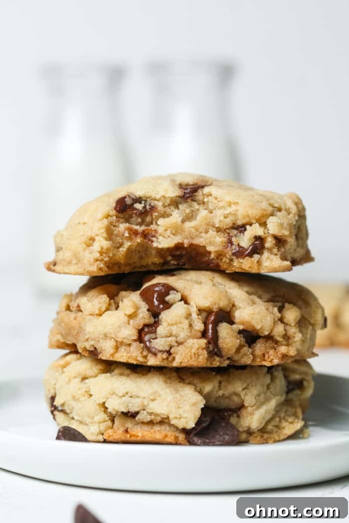 Stack of freshly baked vegan chocolate chip cookies.
