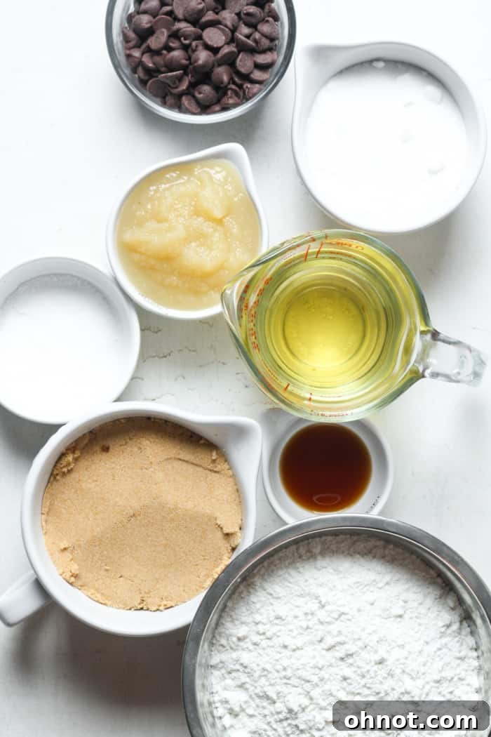 Applesauce, coconut oil, and other vegan cookie ingredients.