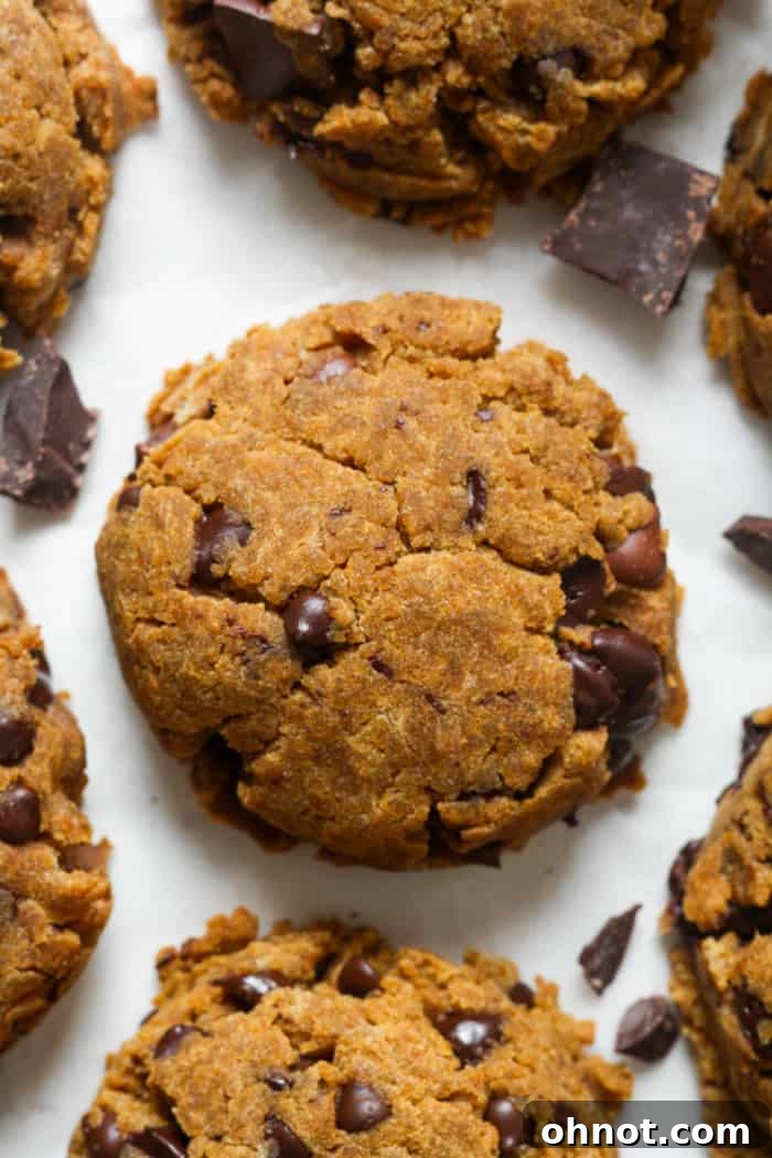 A batch of healthy pumpkin chocolate chip cookies.