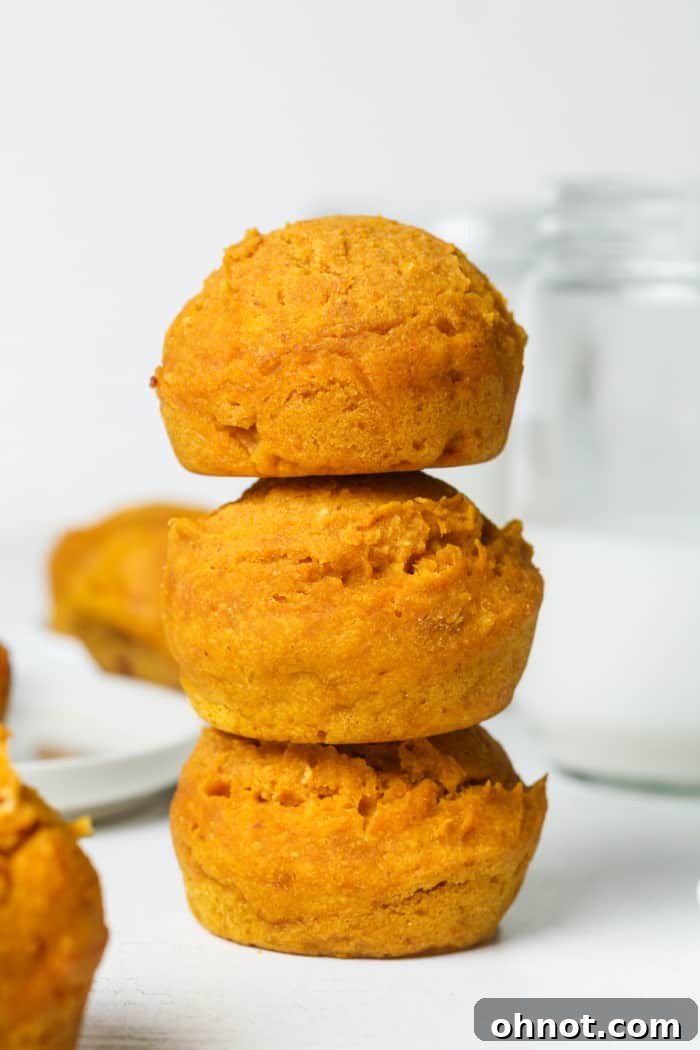 Close-up of a stack of fluffy vegan gluten-free pumpkin muffins.
