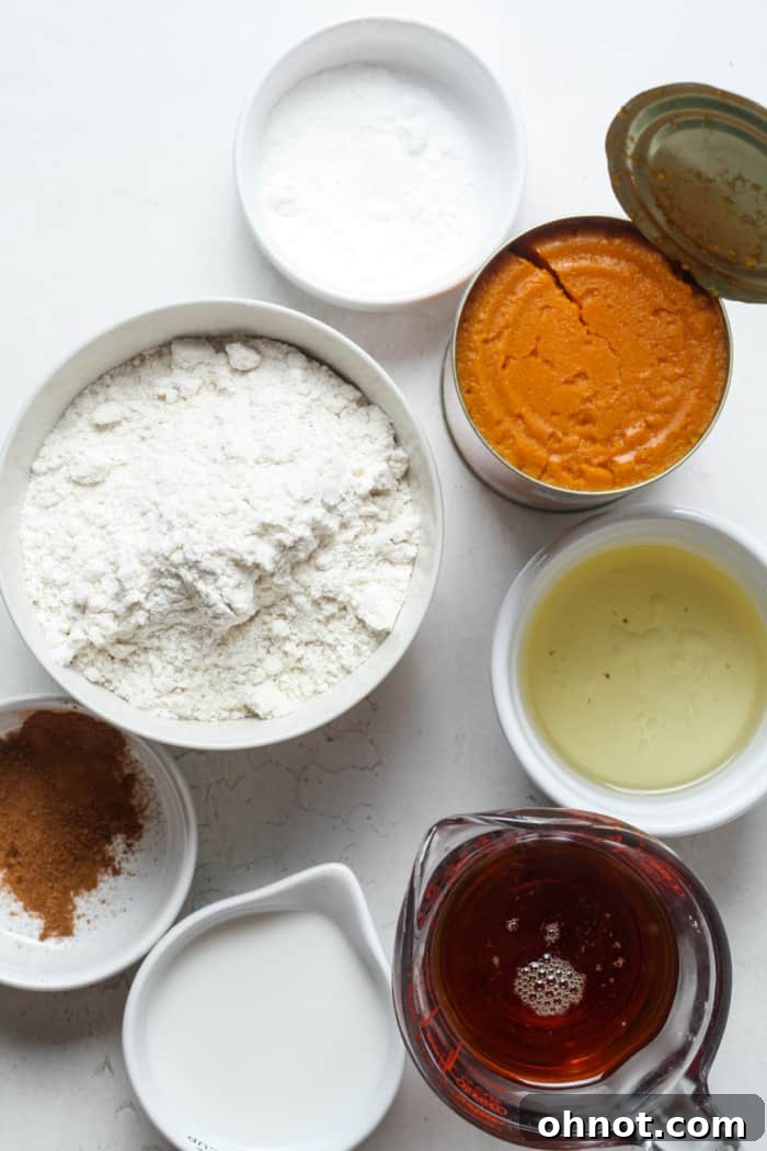 Collection of key vegan pumpkin muffin ingredients including pumpkin puree and spices.