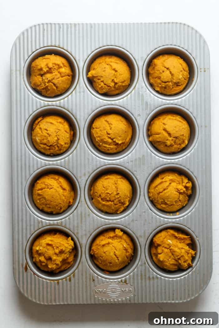 Freshly baked vegan pumpkin muffins in the pan, golden brown and perfectly risen.