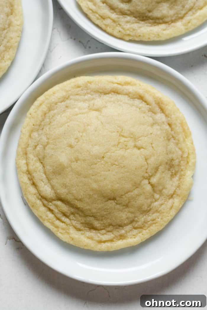 Small batch sugar cookies fresh from the oven, showcasing their perfect golden edges and soft centers.