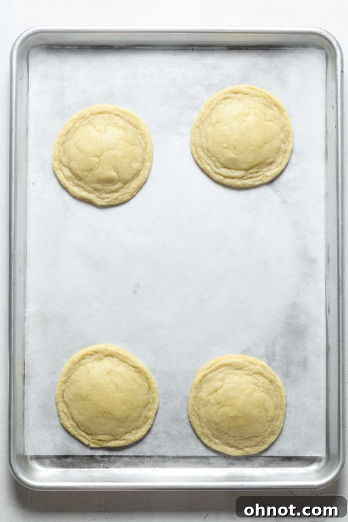 Freshly baked sugar cookies on the baking sheet, still warm and showing golden edges.