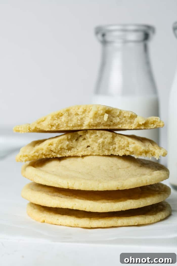 Freshly baked sugar cookies served with a glass of milk, inviting a classic treat experience.