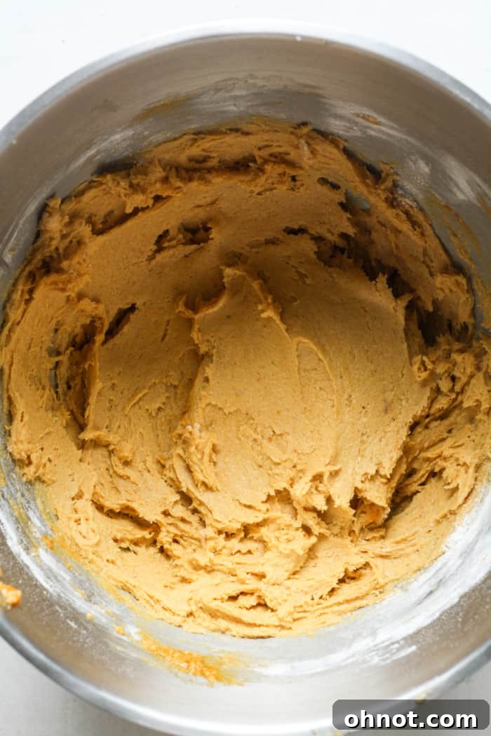 Thick pumpkin cookie dough after all dry ingredients are mixed in.