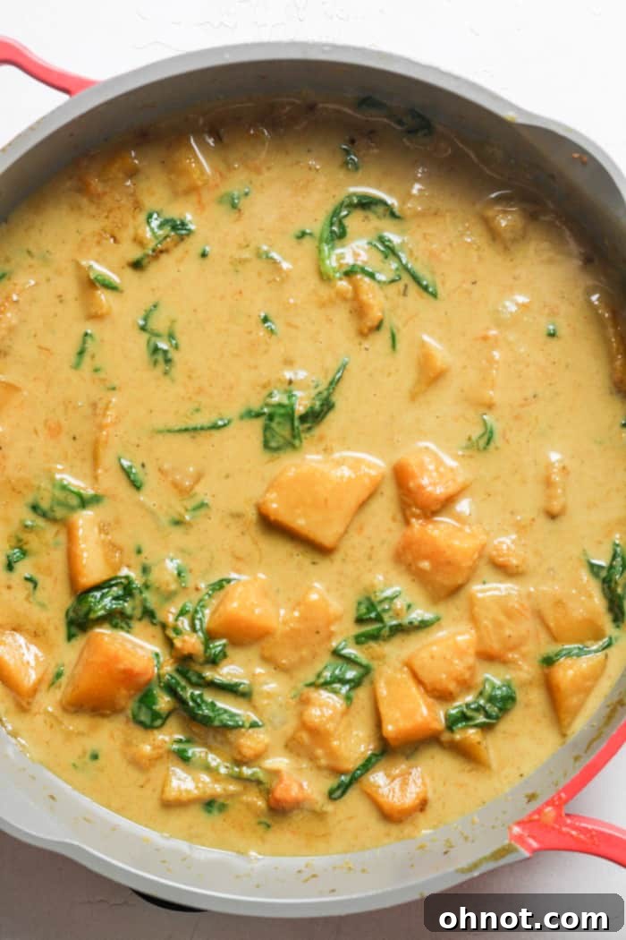 A serving of butternut squash curry in a bowl, ready to be eaten.