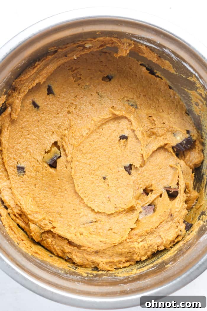 Raw pumpkin bread batter with chocolate chips.