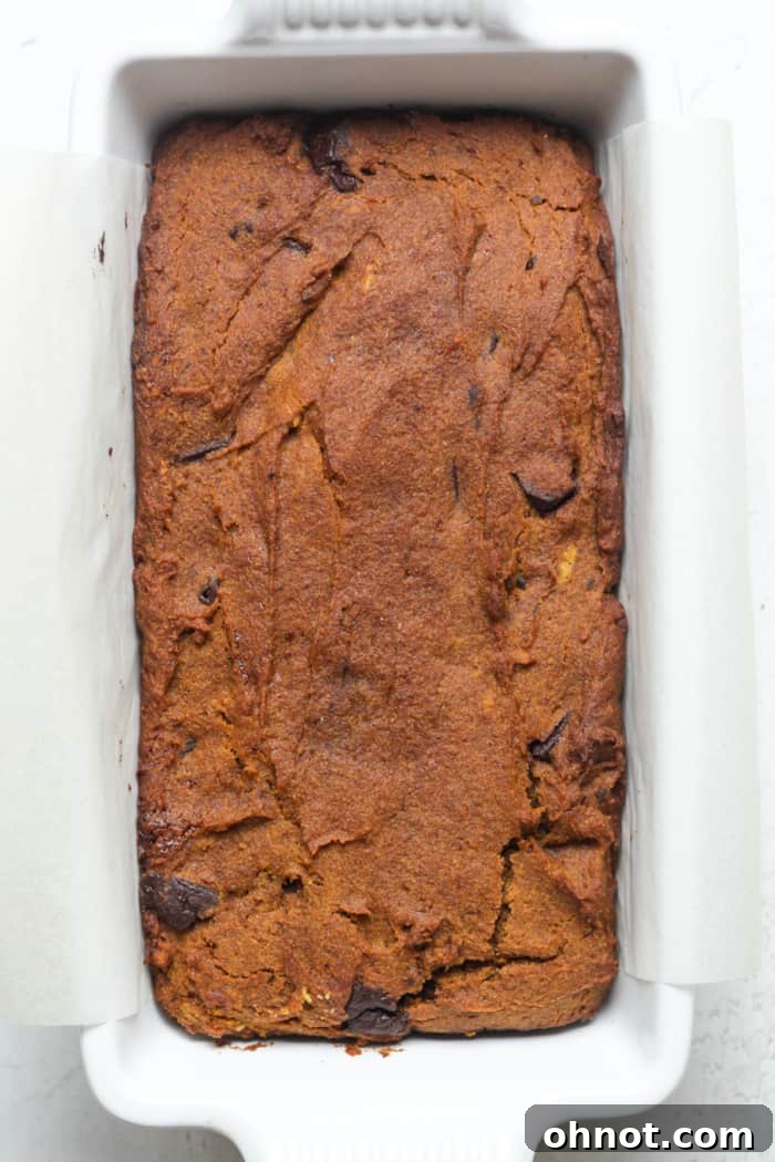 Freshly baked pumpkin bread cooling in its pan.