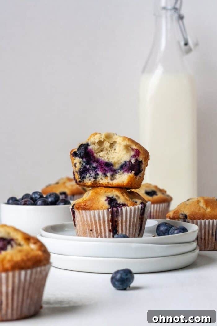 Freshly baked gluten-free dairy-free blueberry muffins cooling on a white plate, showcasing their perfect golden-brown tops.