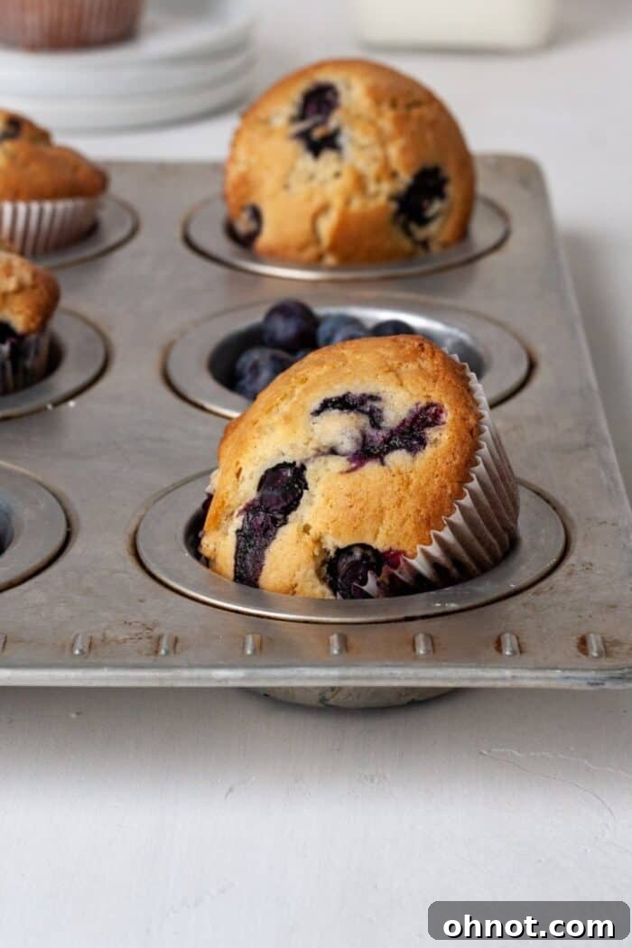 Freshly baked gluten-free dairy-free blueberry muffins in a muffin tray, ready to be enjoyed.