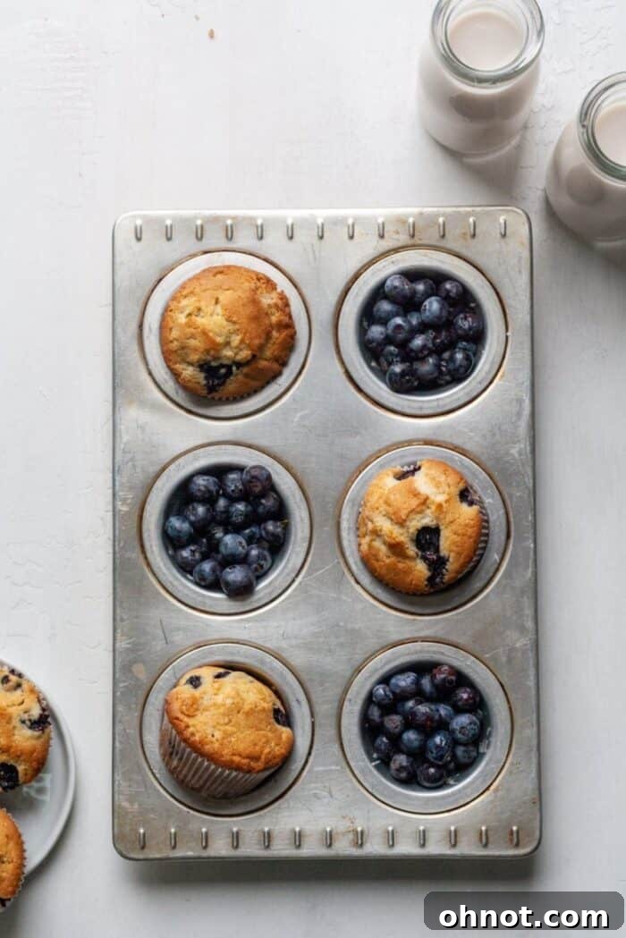 A tray of healthy gluten-free dairy-free blueberry muffins fresh from the oven, showing their delicious texture.
