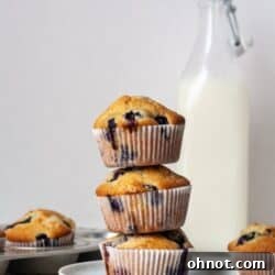 Dairy free blueberry muffins with almond milk