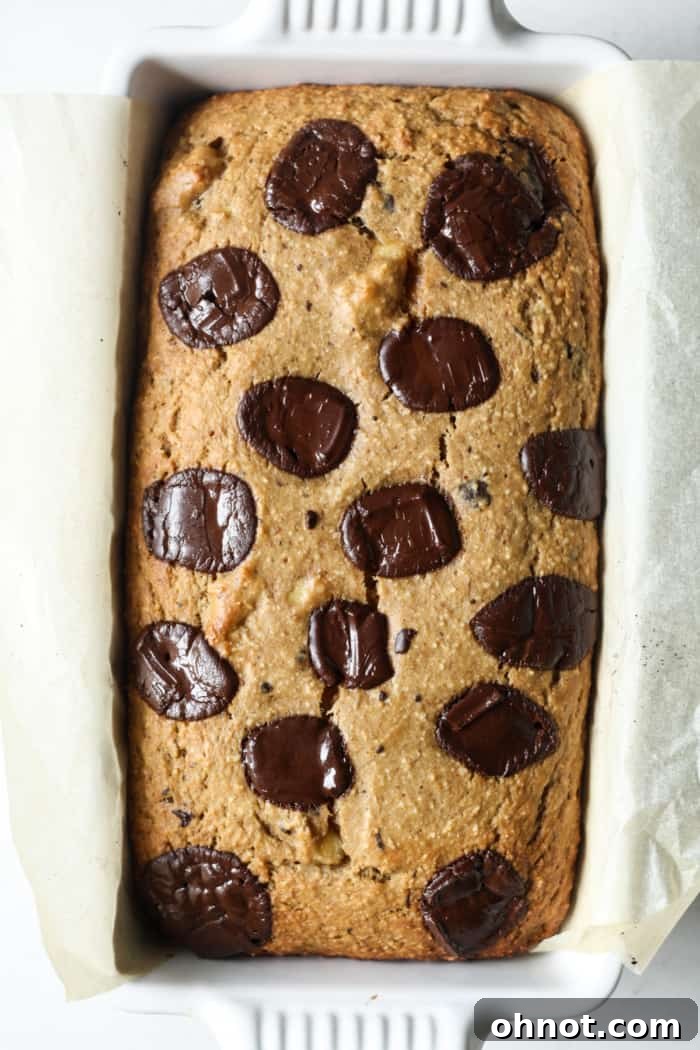 Freshly baked protein banana bread in a loaf pan, cooling.
