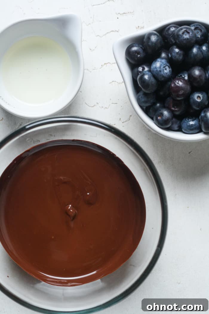 Three core ingredients for chocolate covered blueberries: fresh blueberries, chocolate chips, and a jar of coconut oil.
