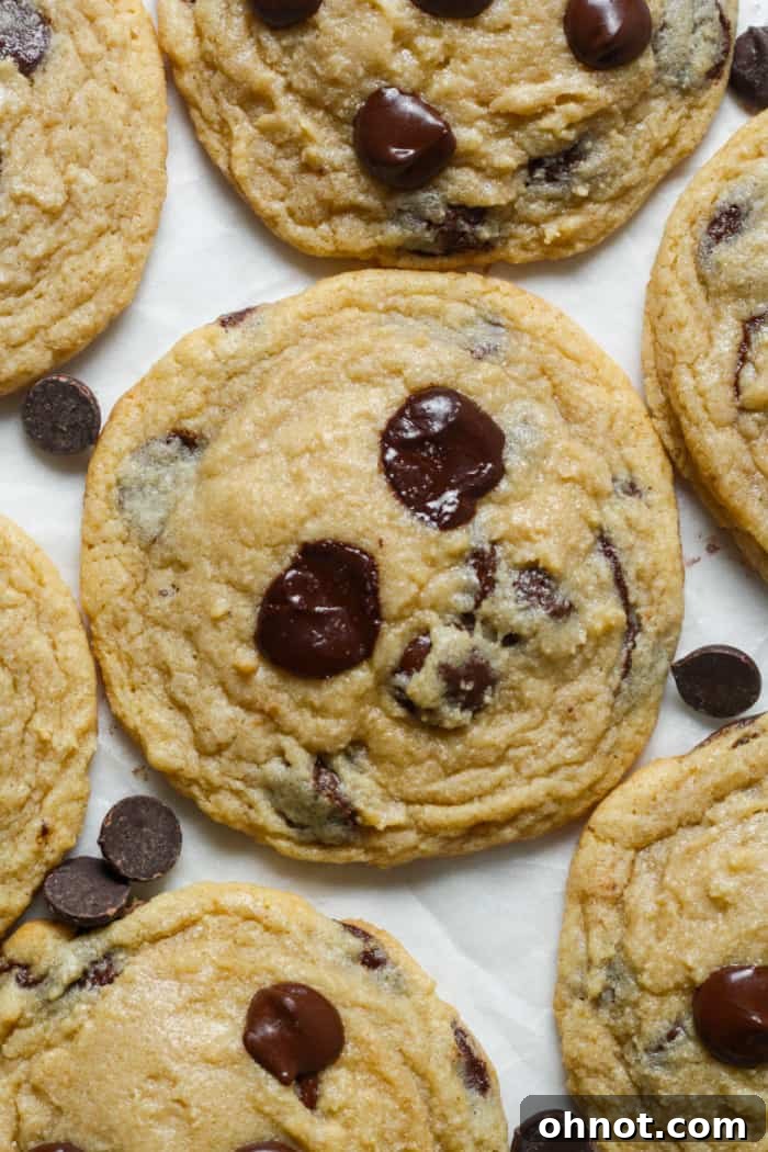 Warm, gooey cookies studded with dark chocolate chips.