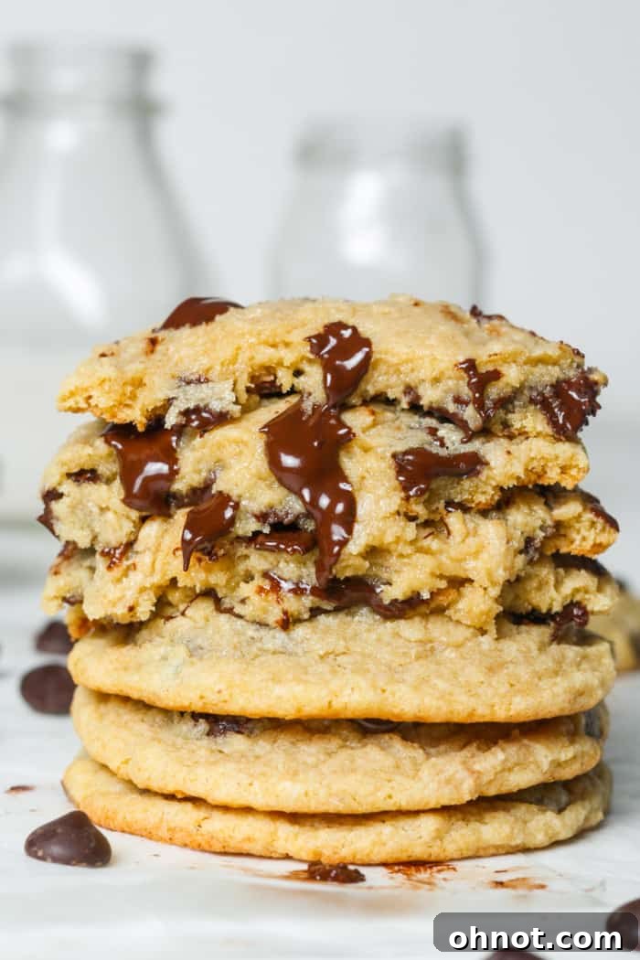 Gooey chocolate chip cookies, fresh out of the oven.