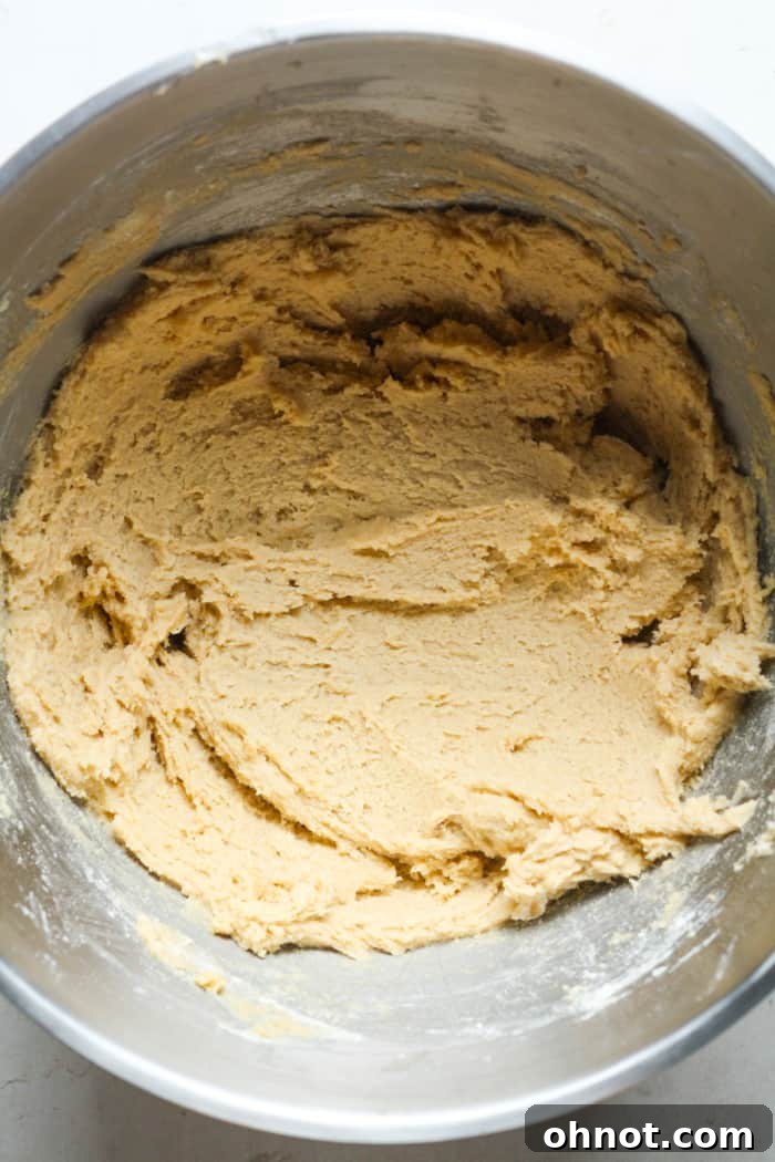 Classic cookie dough mixture in a bowl after all dry ingredients are added.