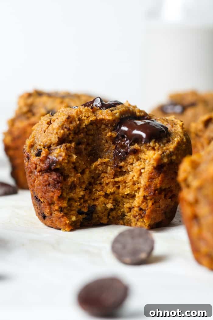 Pumpkin protein muffins.