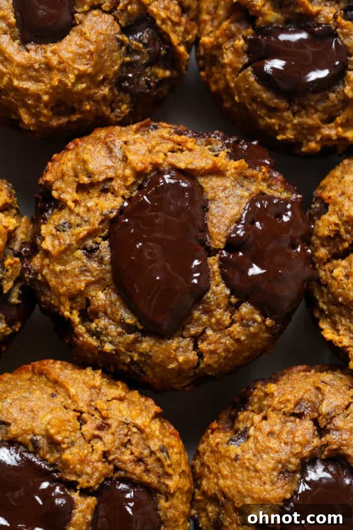 Chocolate chip pumpkin muffins.