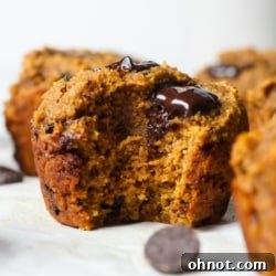 Pumpkin protein muffins.