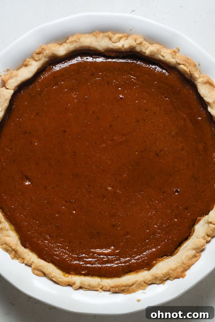 A freshly baked pumpkin pie, golden and firm, just out of the oven.