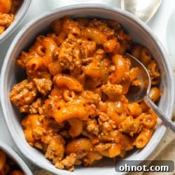 Healthy hamburger helper.