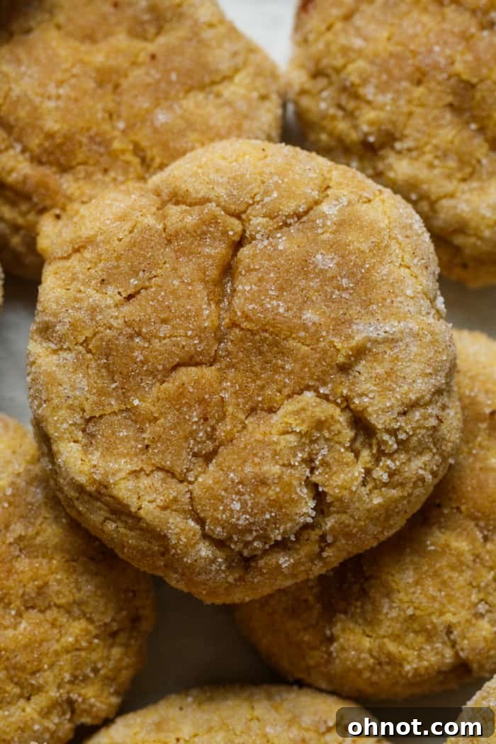 Pumpkin Snickerdoodles – A stack of warmly spiced pumpkin cookies rolled in cinnamon sugar.