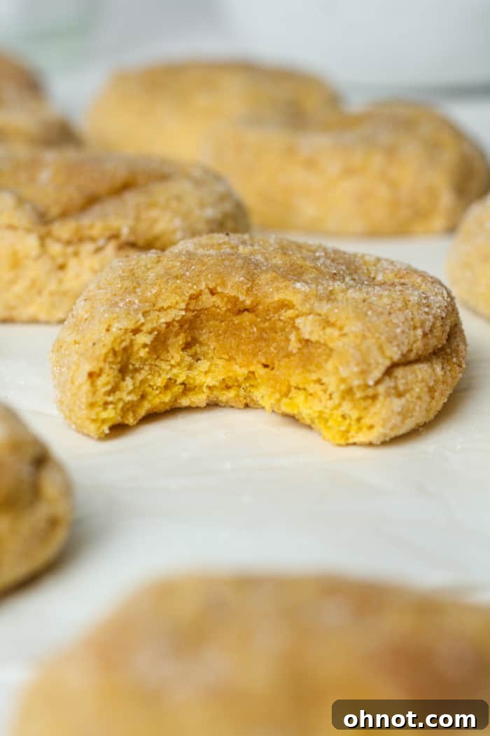 A close-up of a pumpkin snickerdoodle cookie with a bite taken out, showing its soft interior and spiced flavor.