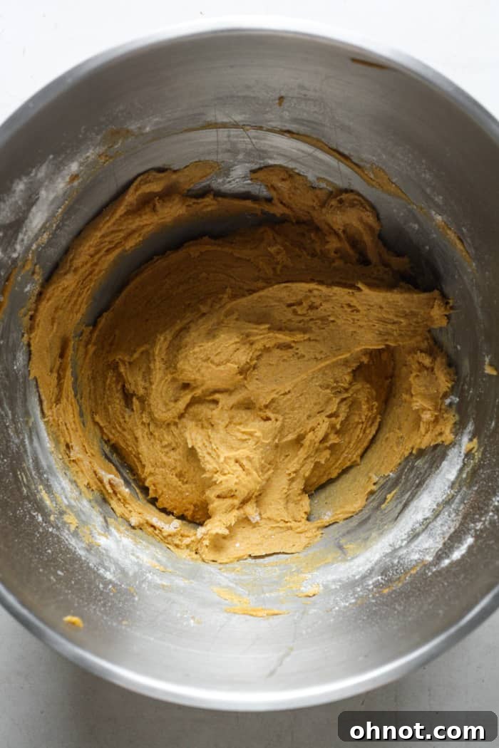 Pumpkin snickerdoodle cookie dough in a mixing bowl, ready for chilling.