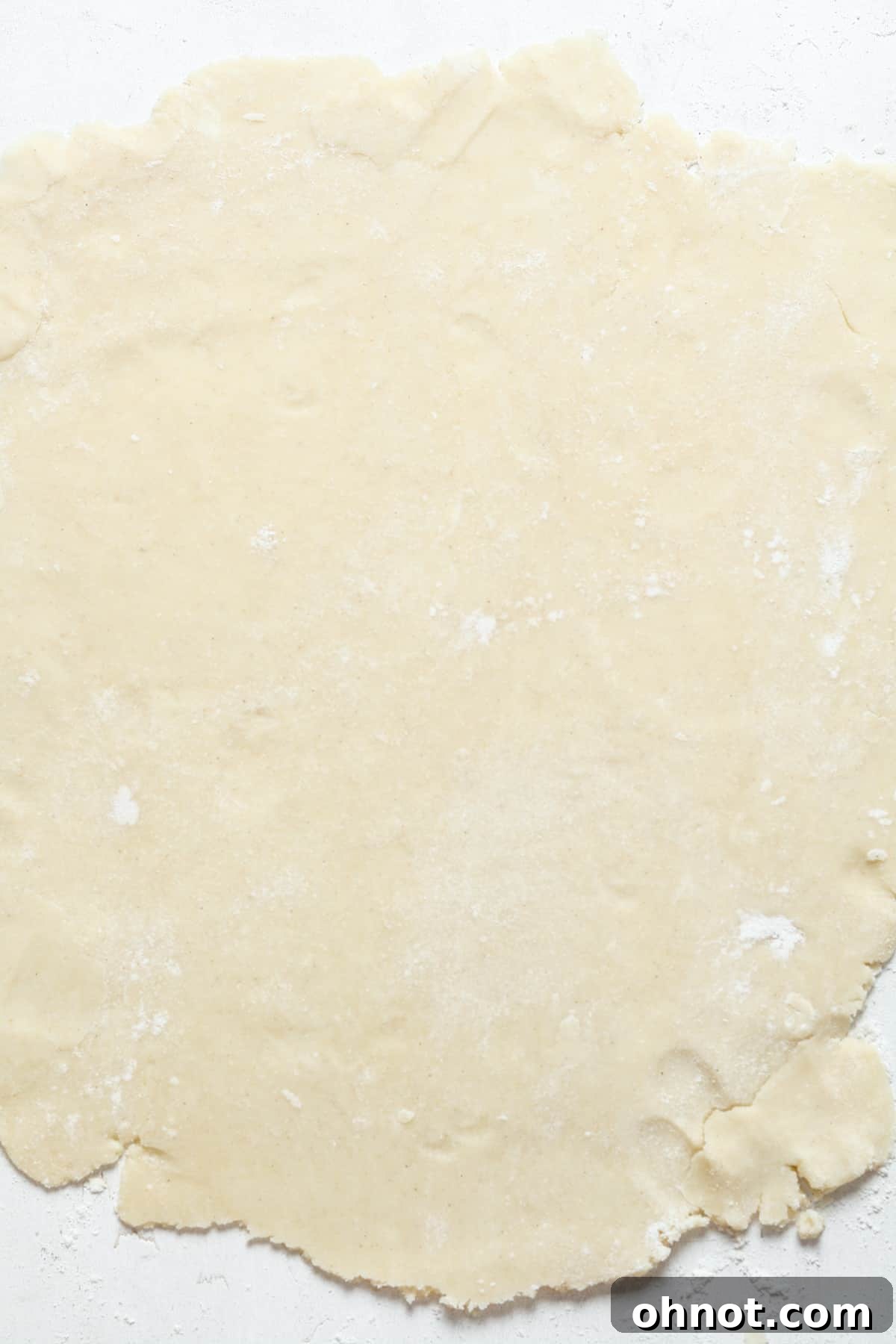 Fully flattened and rolled-out pie dough.