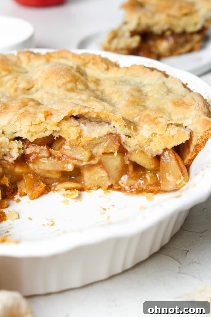 Warm cinnamon apple pie slice, highlighting the filling and crust.