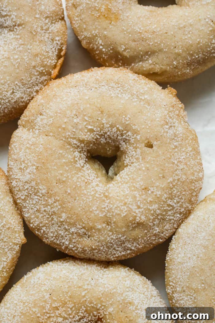 Vegan donuts coated in cinnamon sugar.