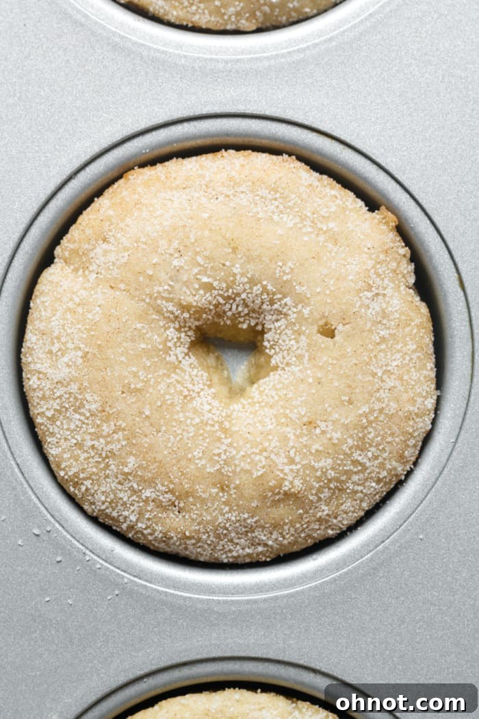 Baked vegan donuts still in the pan, waiting to be cooled and coated.