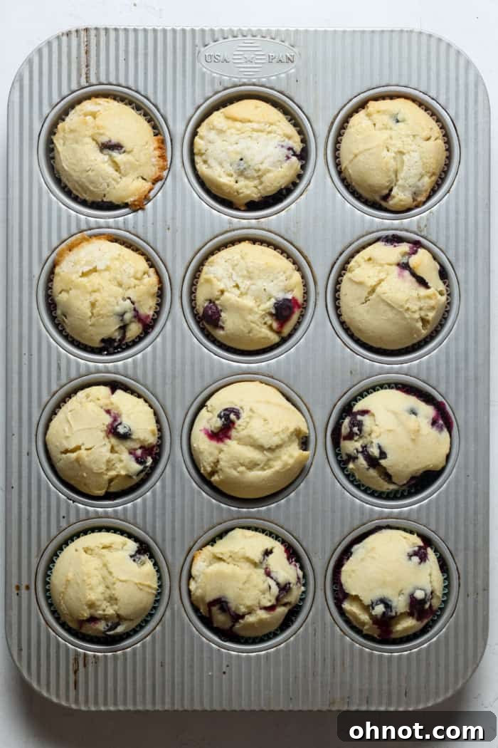 Freshly baked gluten-free blueberry muffins with golden-brown tops, just removed from the oven and still in the muffin pan.