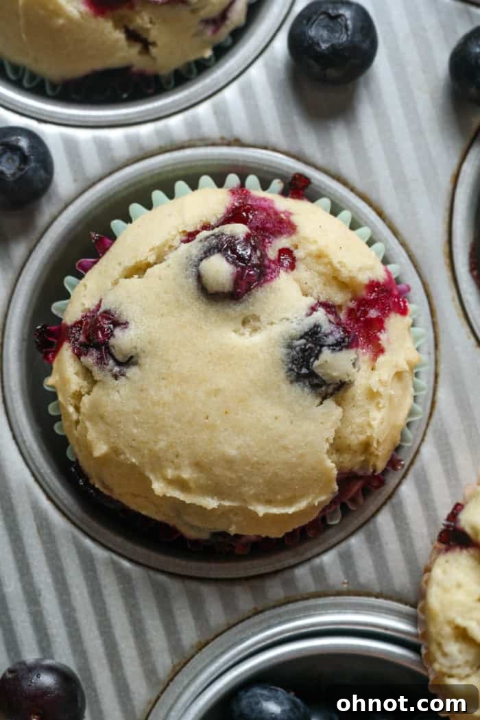 A single baked gluten-free blueberry muffin sitting in a muffin pan, showcasing its golden-brown top and fluffy texture.