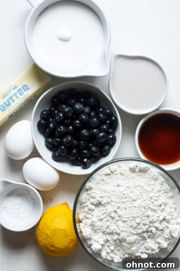 A selection of fresh ingredients including ripe blueberries, bright yellow lemons, eggs, and butter, laid out on a kitchen counter, ready for baking.