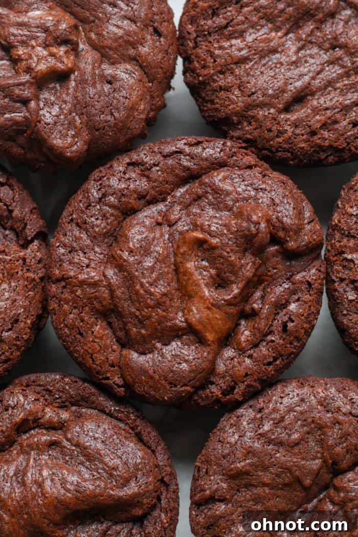 A collection of small, perfectly formed brownie bites arranged appealingly.