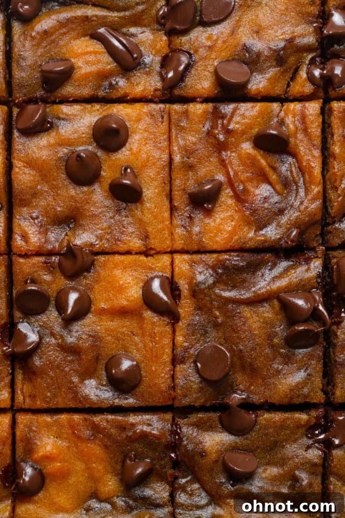 Perfectly sliced pumpkin brownies revealing the rich chocolate and pumpkin swirl.